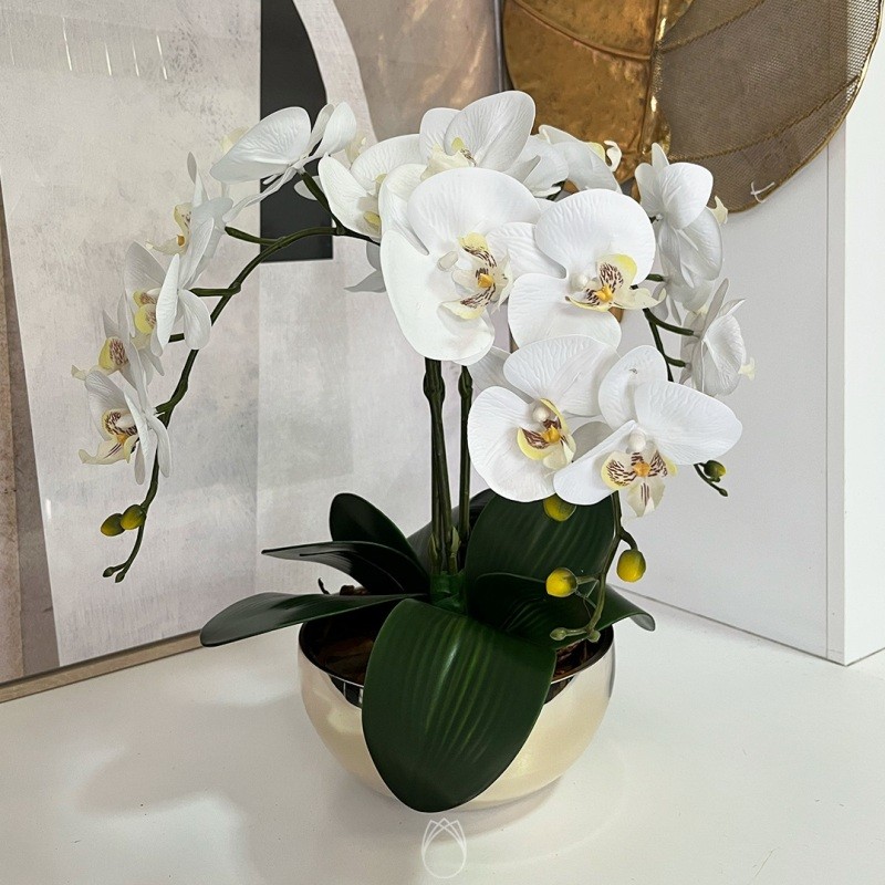 Arranjo de Orquídeas c/ 3 Hastes em Vaso de Vidro Dourado Espelhado ::  Primavera Design