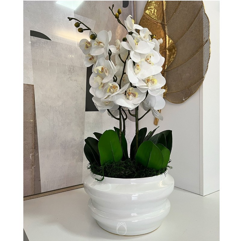 Arranjo de Orquídeas c/ 4 Hastes em Cachepo de Cerâmica Branco :: Primavera  Design