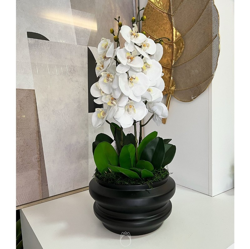 Arranjo de Orquídeas c/ 4 Hastes em Cachepo de Cerâmica Preto Fosco ::  Primavera Design