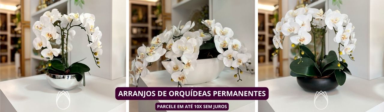 Arranjos de Orquídeas, ARRANJOS PERMANENTES :: Primavera Design