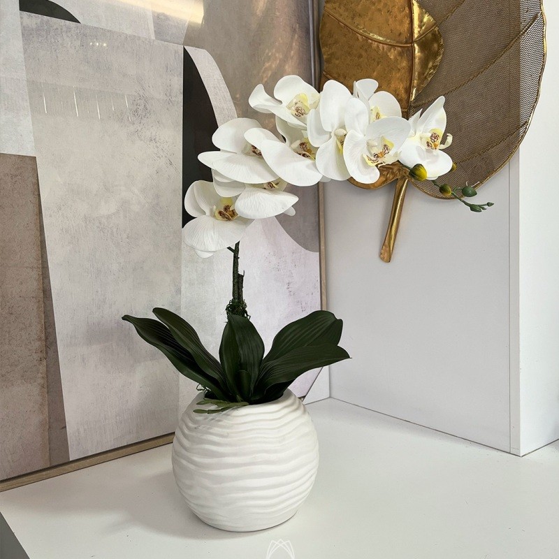 Arranjo de Orquídea Branca c/ 01 Haste em Vaso de Cerâmica Branco ::  Primavera Design